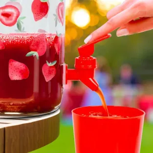 Borcan de Limonadă cu Robinet și 4 Pahare din Plastic, 3,8 L 2