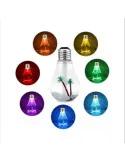 Umidificator in forma de bec, LED RGB, 2W