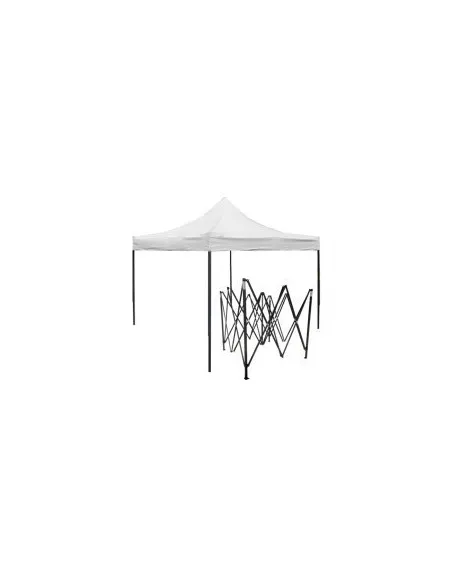 Cort Pliabil Gradina Acordeon 3x6m