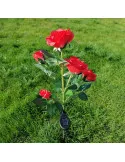 Set 2 Lămpi Solare de Grădină Anedius, Trandafiri Artificiali Decorativi, 71 cm, Roșu