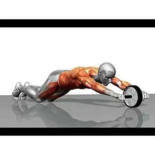 Roata dubla pentru abdomene, Ab roller red-mag.ro 2