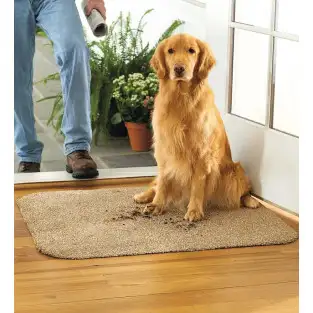 Covoras intrare absorbant antimurdarie Super Clean Mat 2