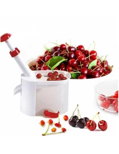 Dispozitiv pentru scos samburi 2