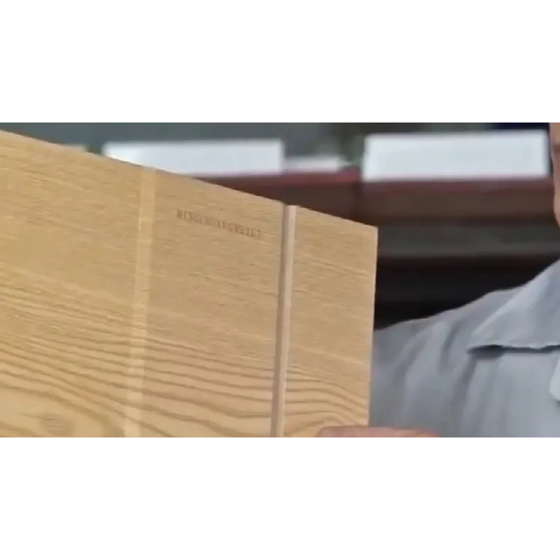 Suport pliabil cu lupa pentru telefon red-mag.ro