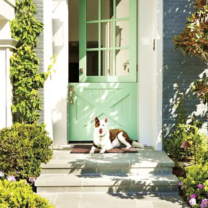 Covoras pentru animale super absorbant, Clean Pooch Mat