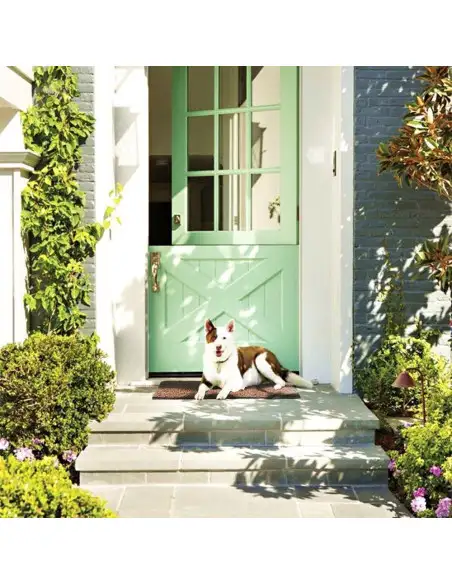 Covoras pentru animale super absorbant, Clean Pooch Mat