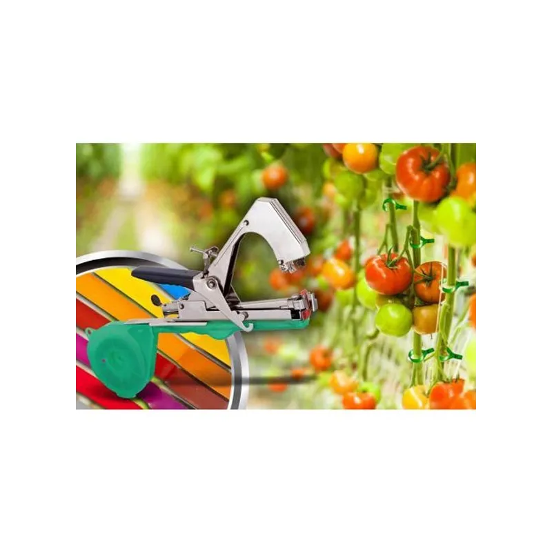 Pachet Vita de vie red-mag.ro