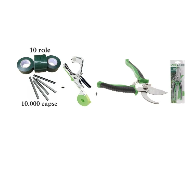 Pachet Vita de vie red-mag.ro