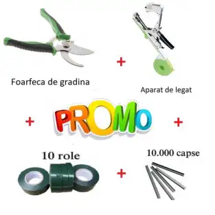 Pachet Vita de vie red-mag.ro