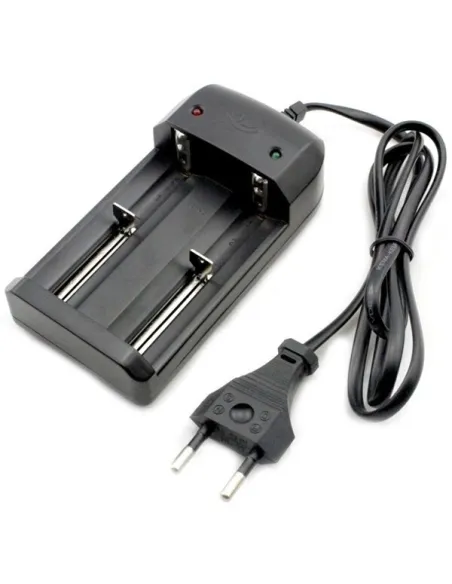 Incarcator dublu universal li-ion LPC-C01 red-mag.ro