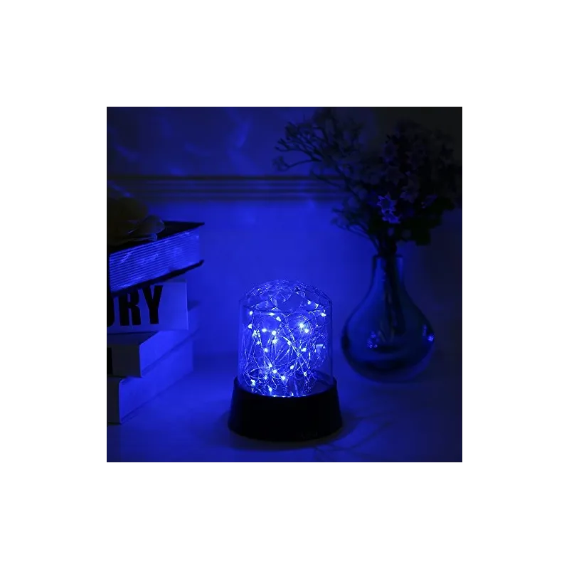 Proiector Star master Mini stele de Craciun, 2020 red-mag.ro