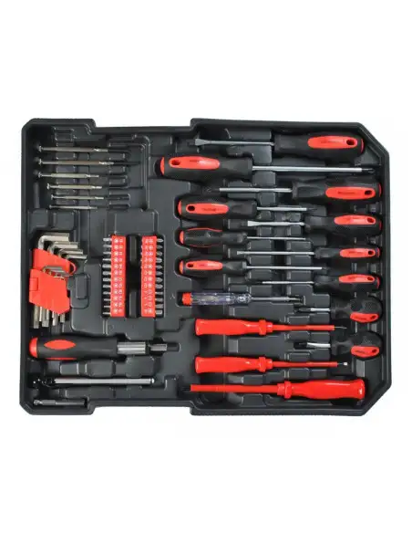Trusa profesionala de scule cu 256 piese red-mag.ro