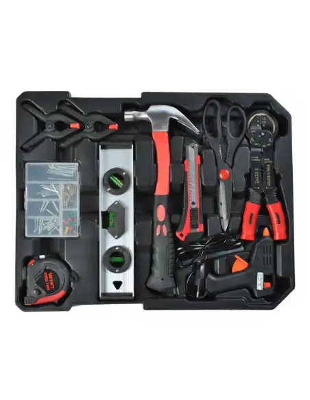 Trusa profesionala de scule cu 256 piese red-mag.ro