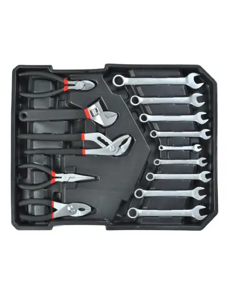 Trusa profesionala de scule cu 256 piese red-mag.ro