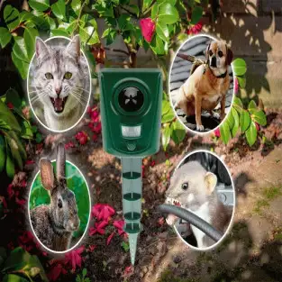 Aparat cu ultrasunete impotriva pasarilor, Animal Repeller 2