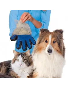 Manusa cu perie pentru animale red-mag.ro 2