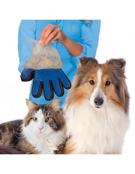 Manusa cu perie pentru animale red-mag.ro