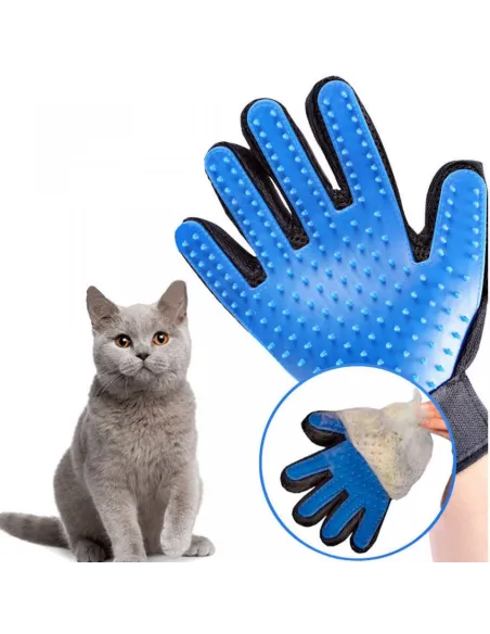 Manusa cu perie pentru animale red-mag.ro