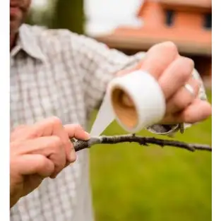 Banda transparenta pentru altoit, 100 m x 3 cm red-mag.ro