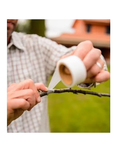 Banda transparenta pentru altoit, 100 m x 3 cm red-mag.ro