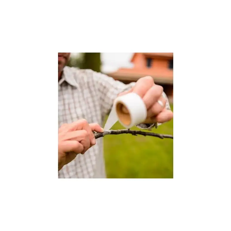 Banda transparenta pentru altoit, 100 m x 3 cm red-mag.ro