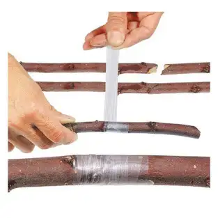 Set 5 x Banda transparenta pentru altoit, 100 m x 3 cm 2