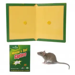 5x Capcana cu lipici pentru soareci si sobolani red-mag.ro