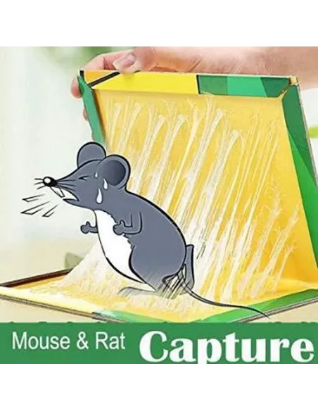 5x Capcana cu lipici pentru soareci si sobolani red-mag.ro
