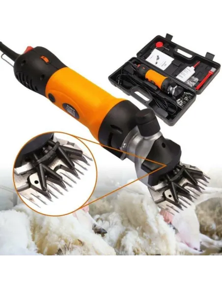 Masina de tuns oi red-mag.ro