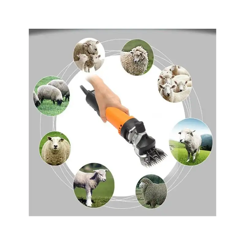 Masina de tuns oi red-mag.ro