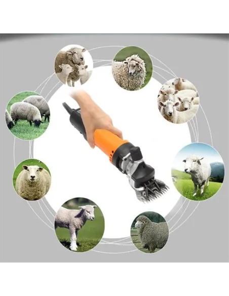 Masina de tuns oi red-mag.ro