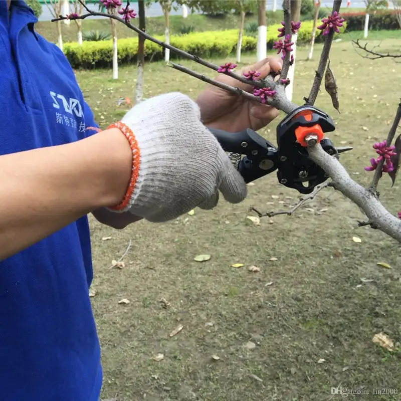 Cleste de altoit + Set 3 benzi altoire red-mag.ro