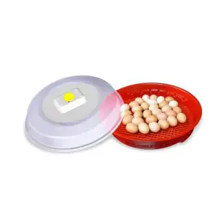 Incubator de oua IO102 red-mag.ro