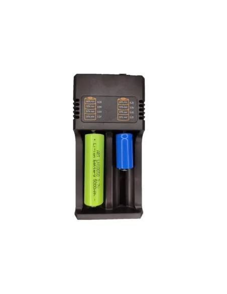 Incarcator universal cu 2 porturi pentru Acumulatori Li-Ion
