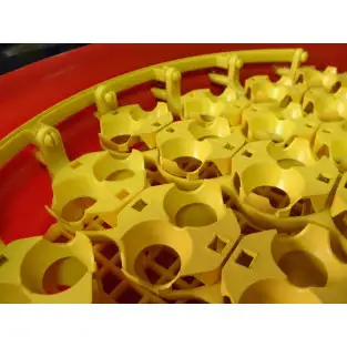 Alveole de prepelita red-mag.ro