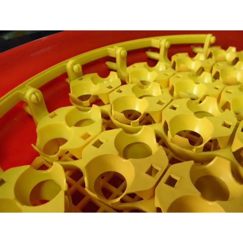 Alveole de prepelita red-mag.ro