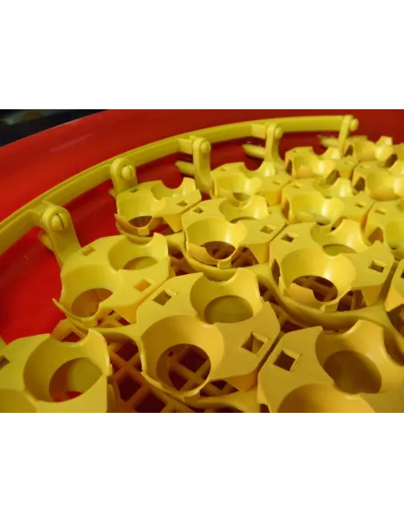 Alveole de prepelita red-mag.ro