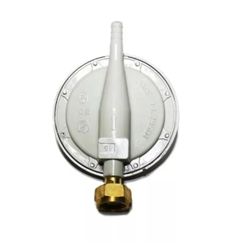 Ceas pentru butelie gri N022 red-mag.ro