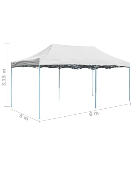 Cort pliabil de gradina, sistem acordeon, 3x6m