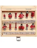 Set 12 freze pentru lemn 270401 diferite profile 6mm