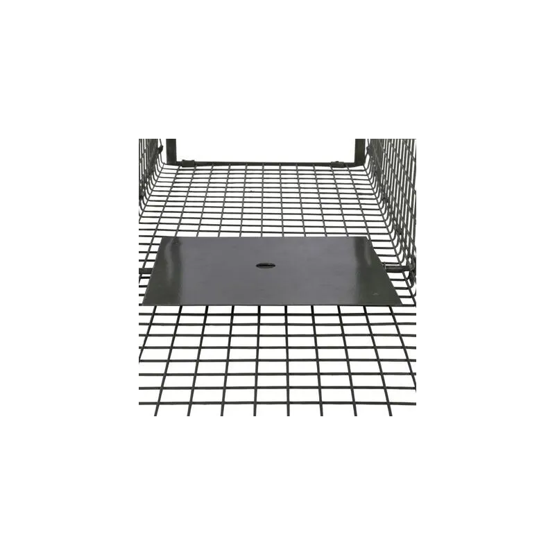 Capcana pentru dihori, jderi?i jderi de copac