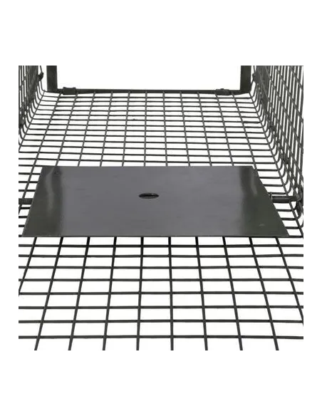 Capcana pentru dihori, jderi?i jderi de copac