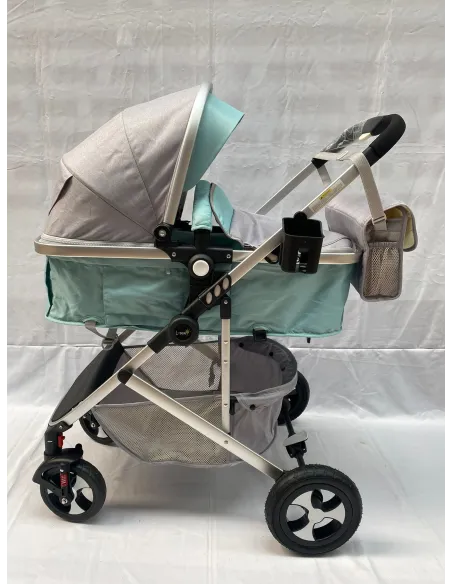 Carucior 2 in 1, 0-36 luni, RED-808, multicolor