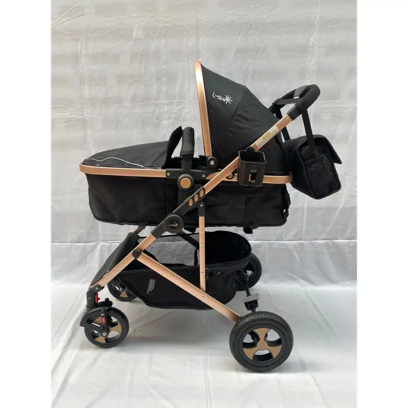 Carucior 2 in 1, 0-36 luni, RED-808, multicolor