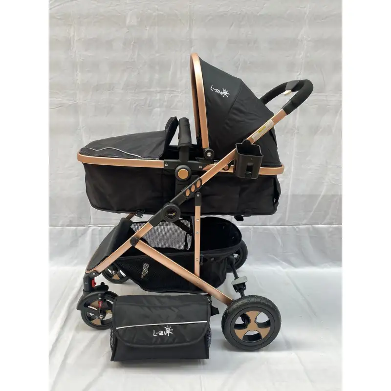 Carucior 2 in 1, 0-36 luni, RED-808, multicolor