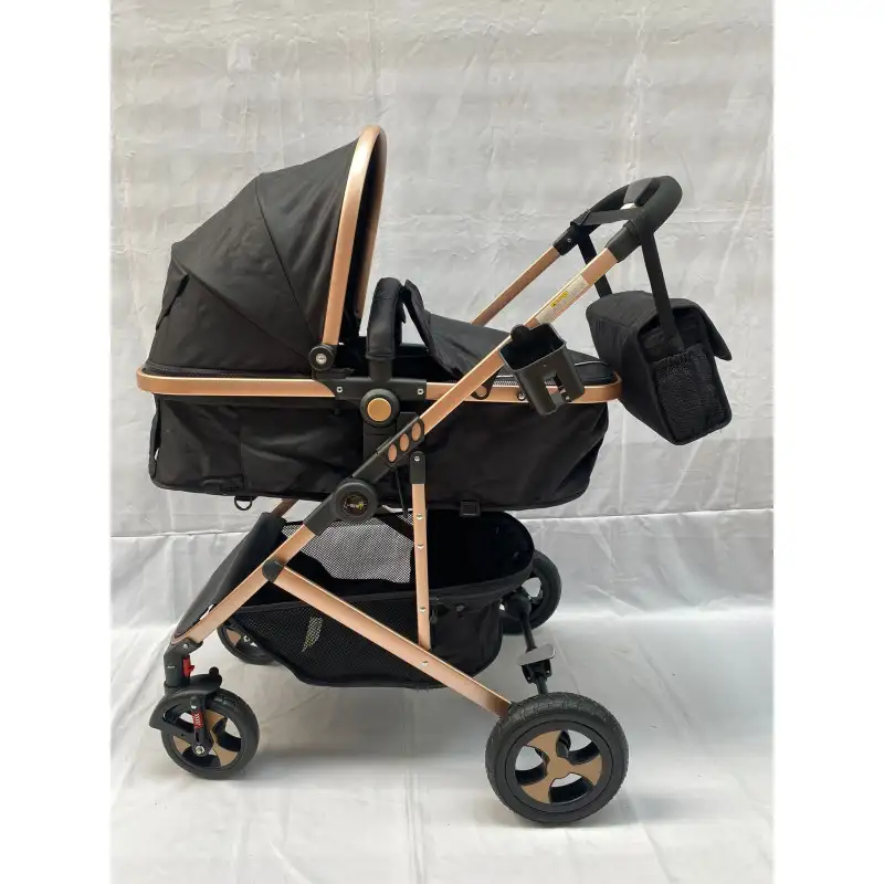 Carucior 2 in 1, 0-36 luni, RED-808, multicolor