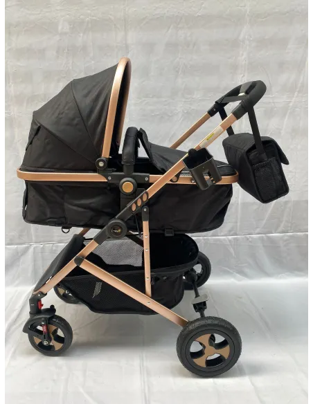 Carucior 2 in 1, 0-36 luni, RED-808, multicolor