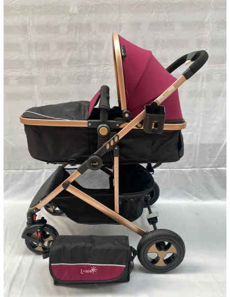 Carucior 2 in 1, 0-36 luni, RED-808, multicolor