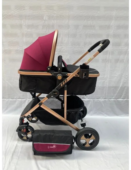 Carucior 2 in 1, 0-36 luni, RED-808, multicolor