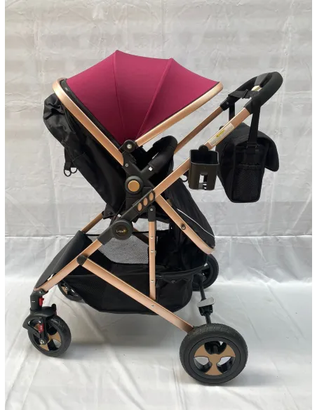 Carucior 2 in 1, 0-36 luni, RED-808, multicolor